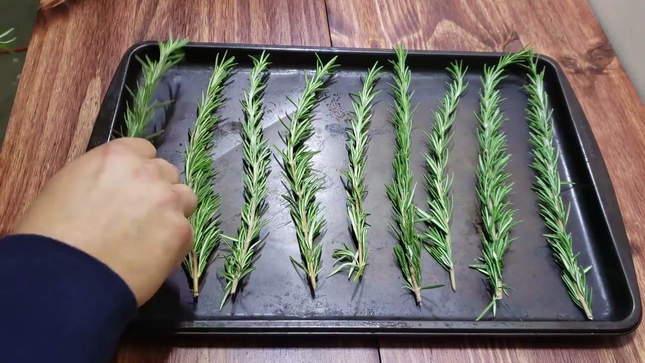 Step 4: Step 4: Method 3 - Oven Dry