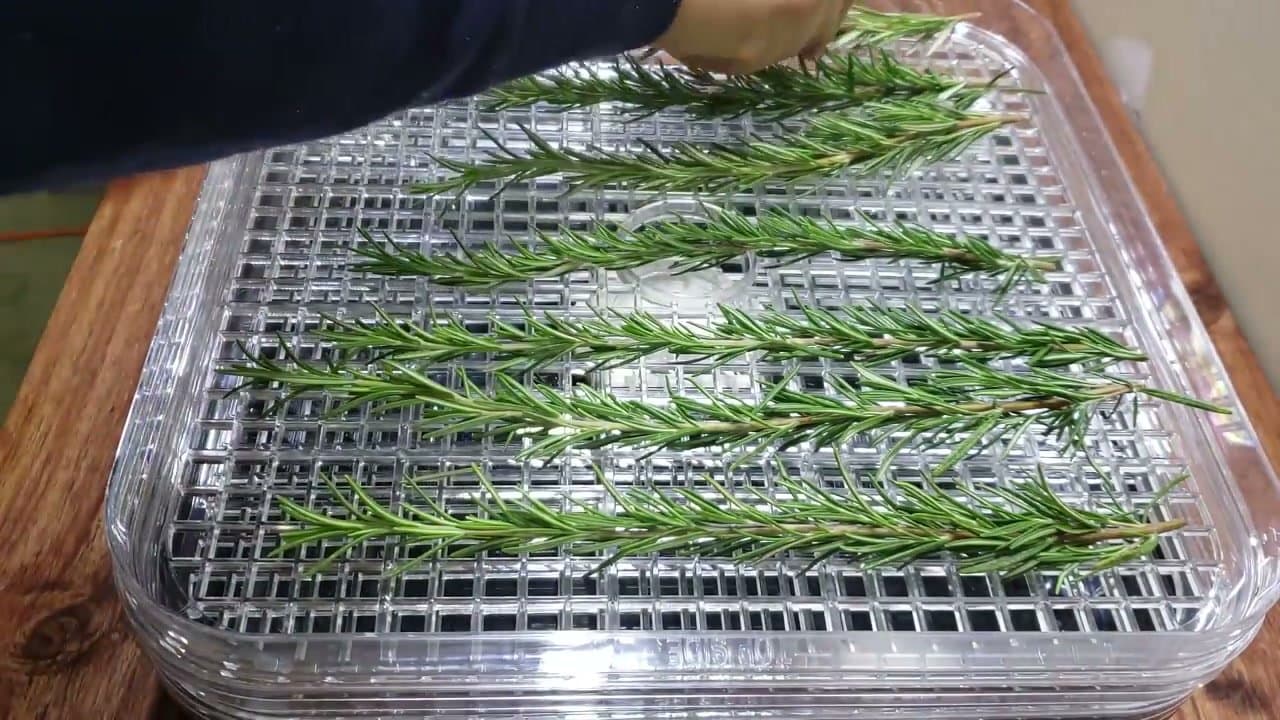 Step 5: Step 5: Method 4 - Food Dehydrator