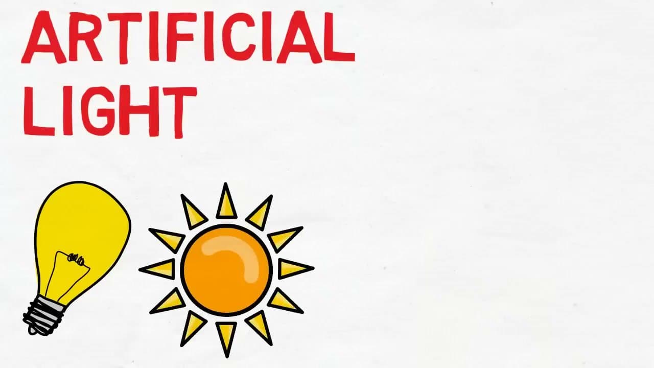 Step 5: Step 5: Dim Lights and Avoid Screens 1-2 Hours Before Bed