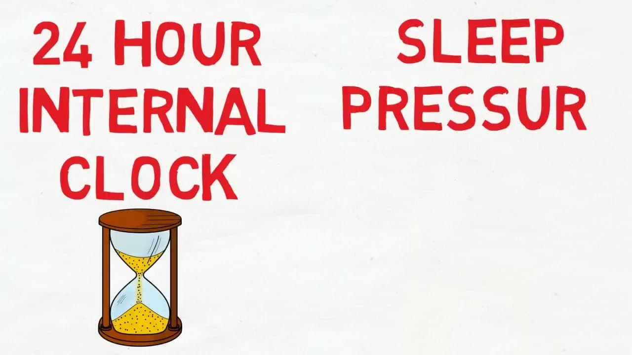 The finished result: How to Fix Your Sleep Schedule in 7 Steps