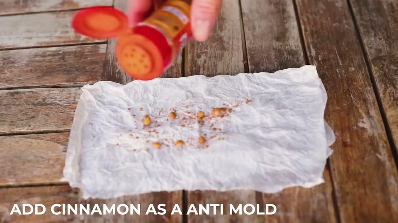 Step 3: Step 3: Lay the Seeds on a Damp Paper Towel