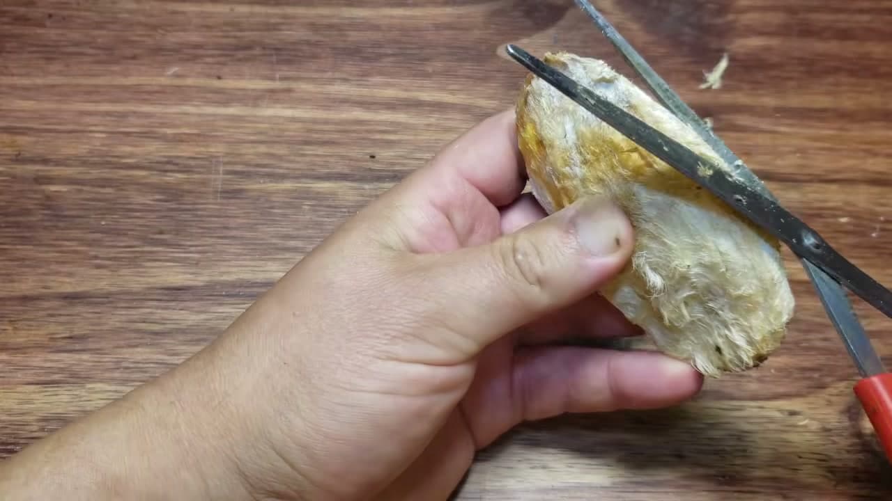 Step 3: Step 3: Cut Open the Tough Husk