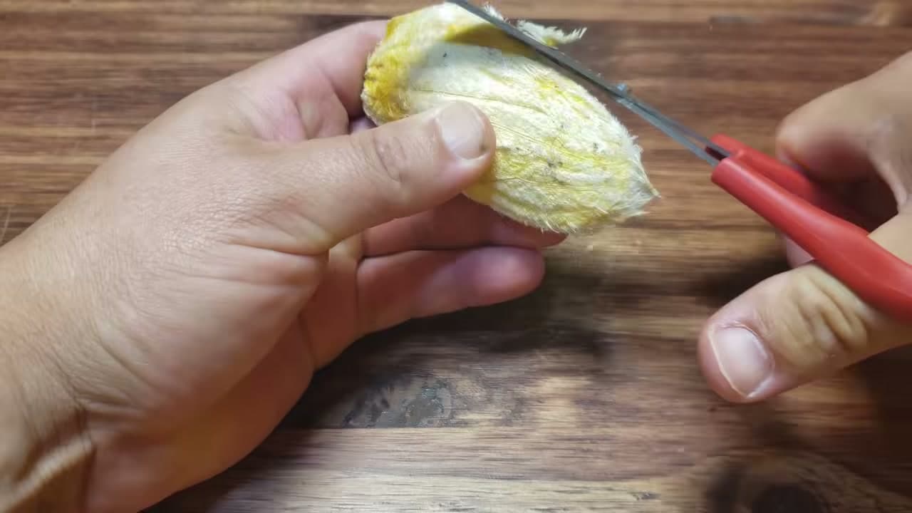 Step 4: Step 4: Take Out the Inner Seed