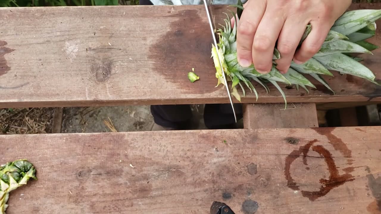 Step 1: Step 1: Cut the Top Off the Pineapple