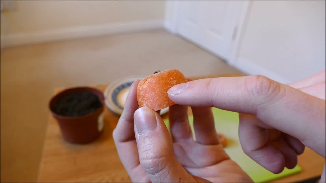 Step 3: Step 3: Look at the Crown