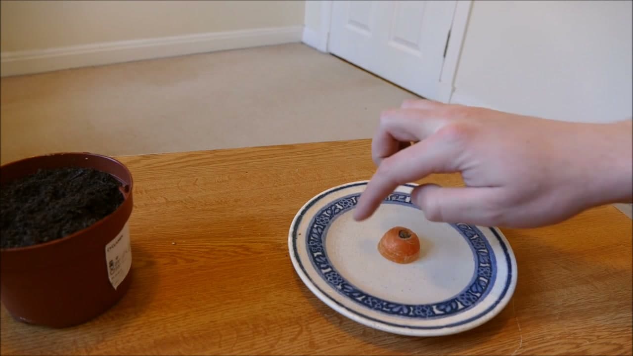Step 4: Step 4: Set the Top in Water