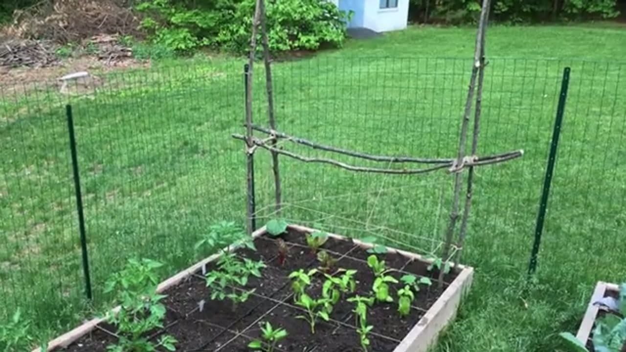 Step 2: Step 2: Set Up a Vertical Structure
