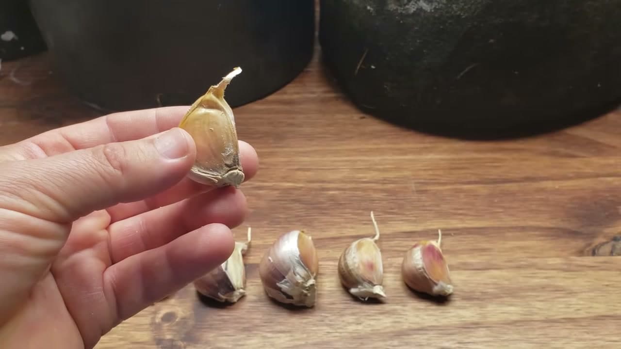 Step 1: Step 1: Pick a Firm, Sprouting Clove