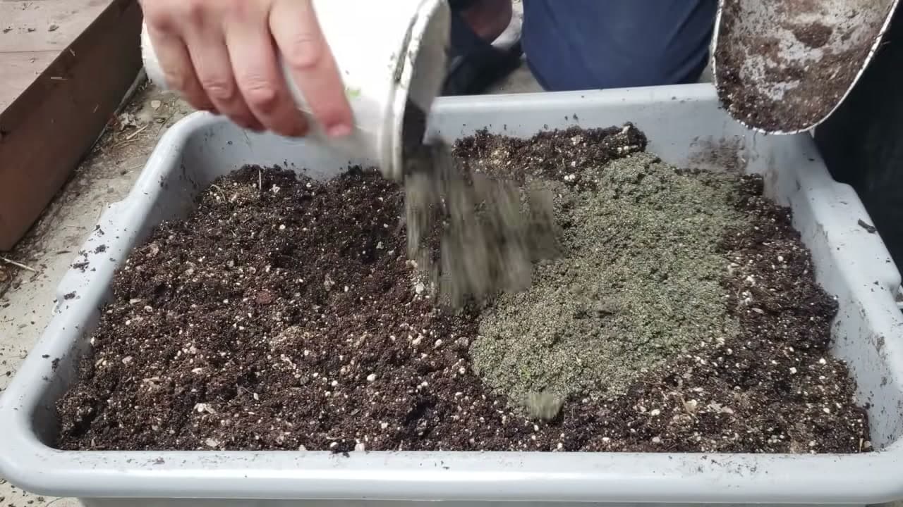 Step 3: Step 3: Fill a Pot with Potting Soil
