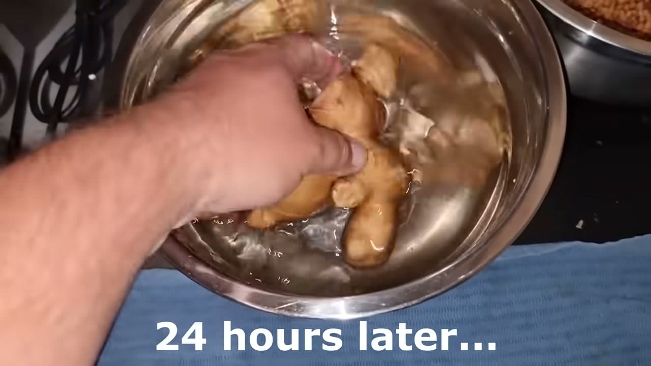 Step 2: Step 2: Soak the Ginger for 24 Hours