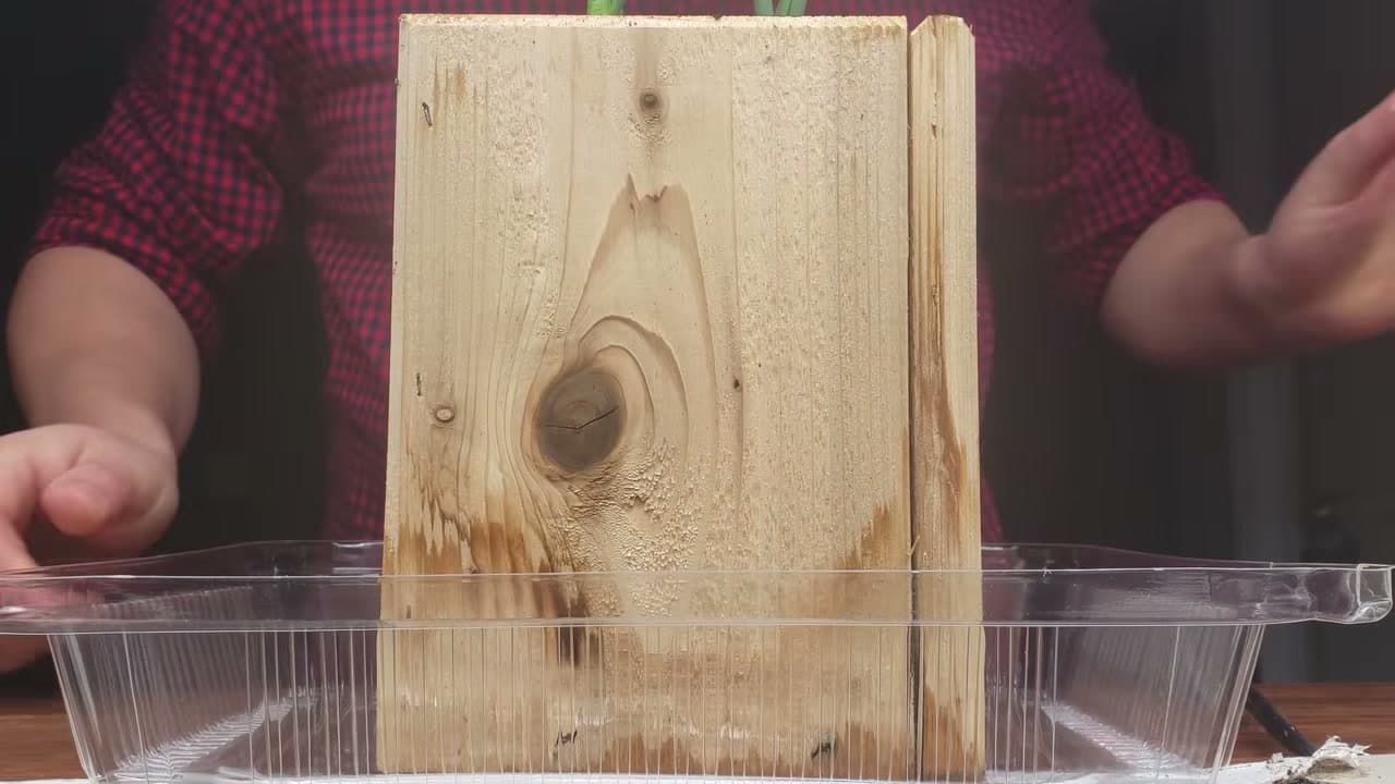 Step 2: Step 2: Stand the Root Ends in a Jar of Water
