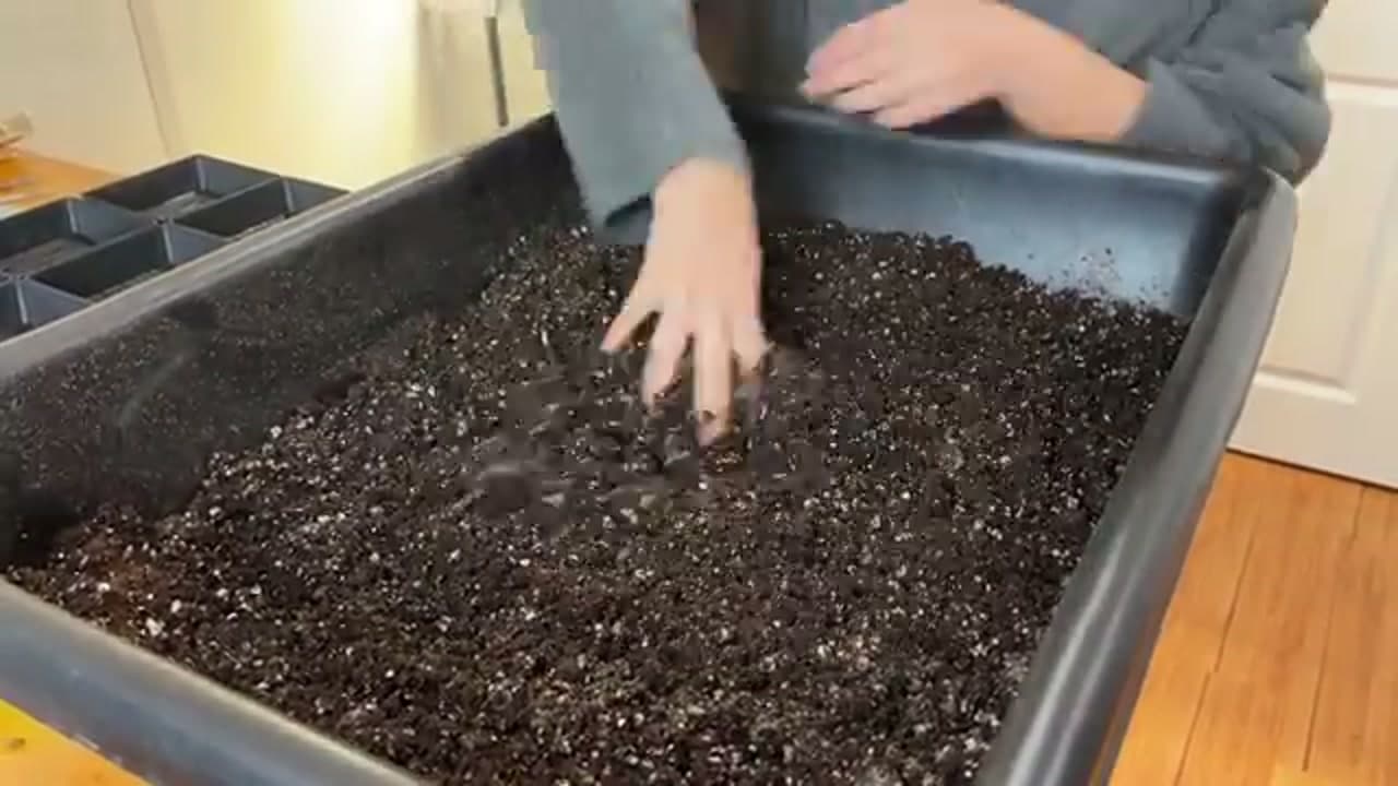 Step 1: Step 1: Fill the Tray With Growing Medium