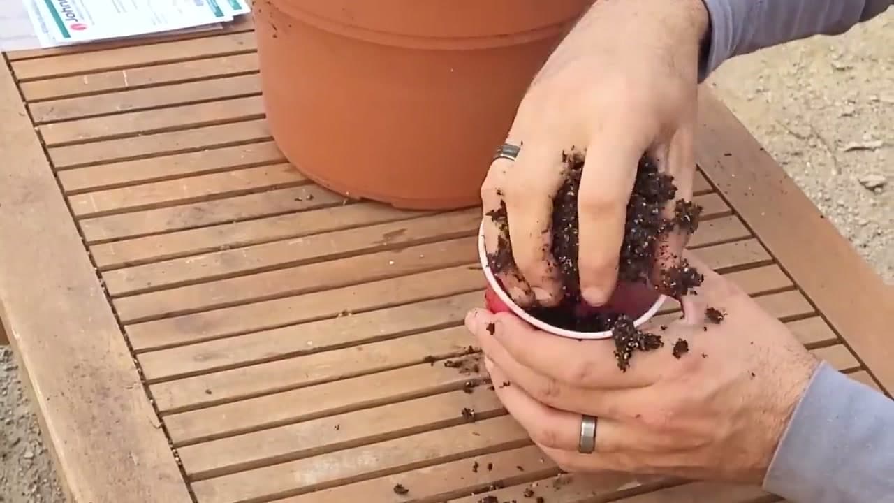 Step 3: Step 3: Fill Cups Less Than Halfway With Mix