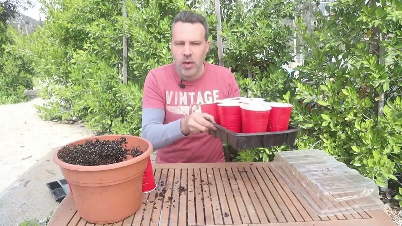 Step 6: Step 6: Use a Heat Mat to Speed Germination (Optional)