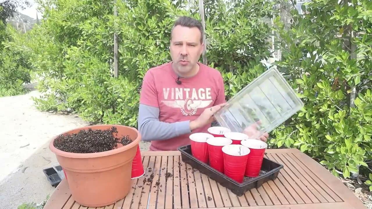 Step 5: Step 5: Cover With a Humidity Dome