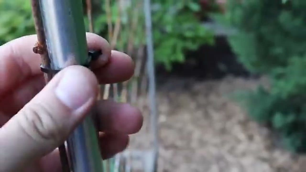 Step 7: Step 7: Add Support Right Away