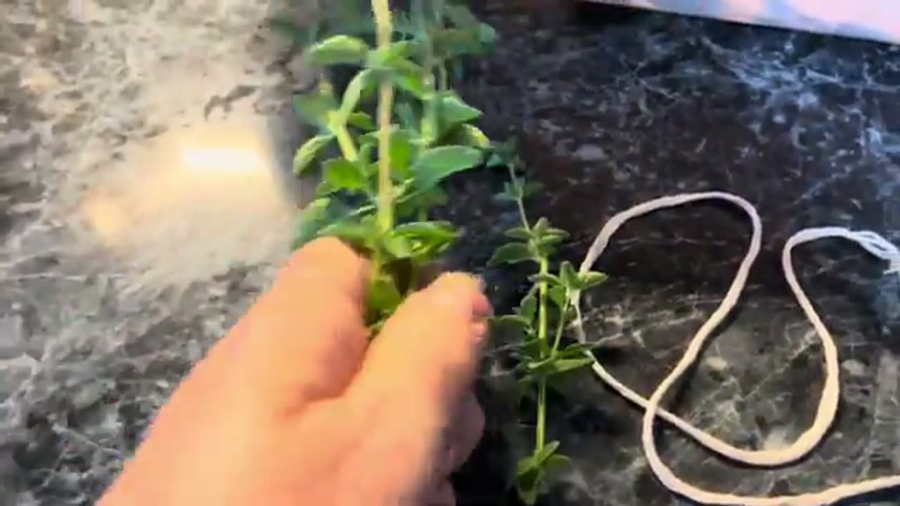 Step 4: Step 4: Bundle and Hang to Dry