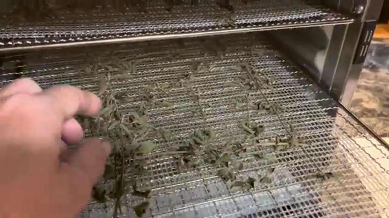 Step 5: Step 5: Check That It Is Fully Dry