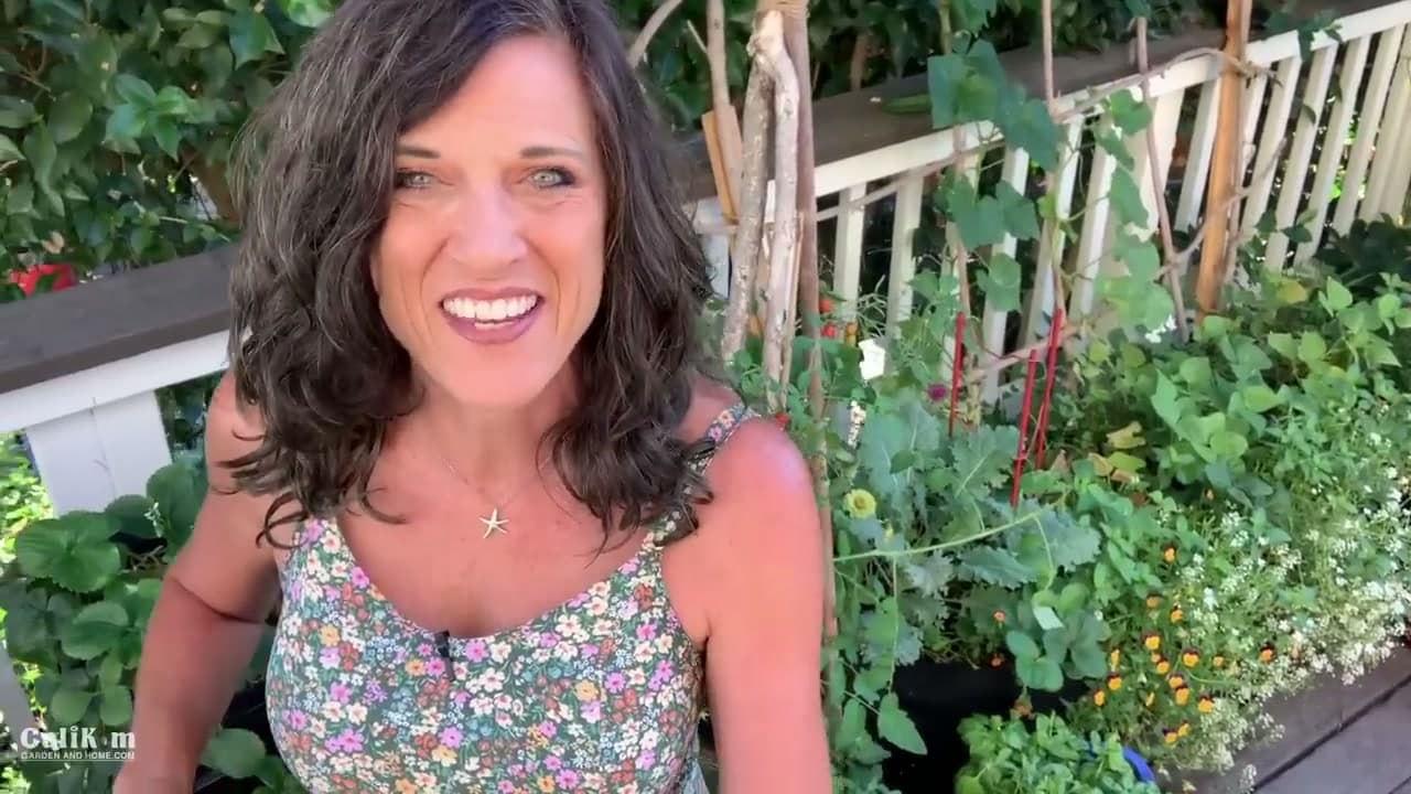 Step 1: Step 1: Look Over the Plant Before You Cut