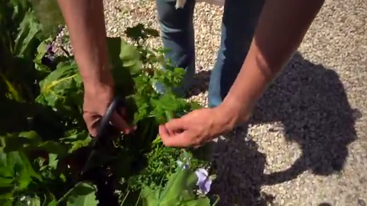 Step 2: Step 2: Reach Down to the Base of the Stem