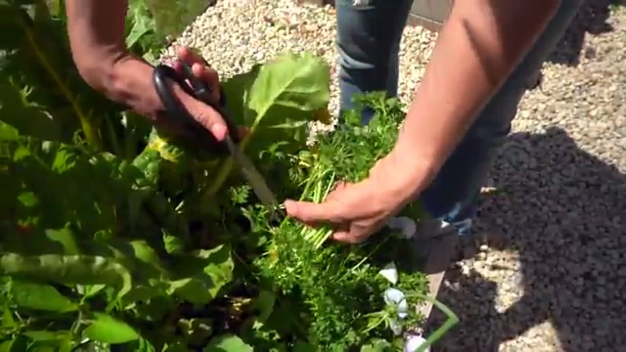 Step 4: Step 4: Make the Cut and Take the Full Stem