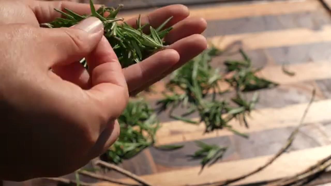 Step 6: Step 6: Strip Leaves From Woody Stems