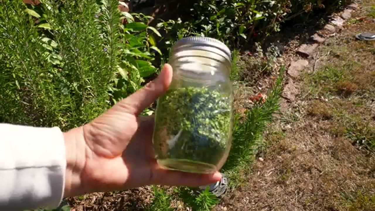 The finished result: How to Harvest Rosemary (Without Killing the Plant)