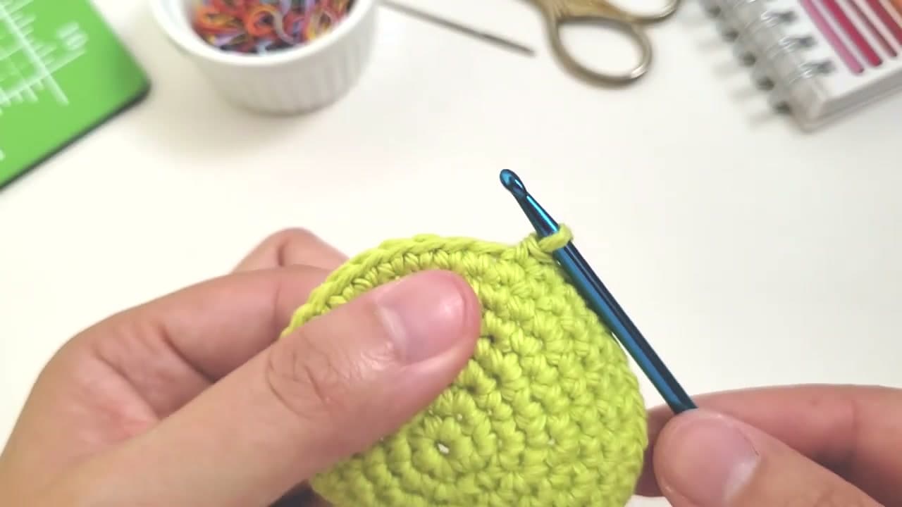 Step 2: Step 2: Find the Stitch You Will Increase Into
