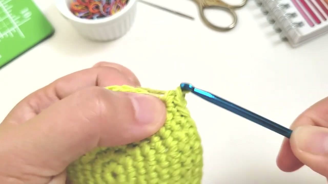 Step 6: Step 6: Yarn Over and Complete the Second Single Crochet