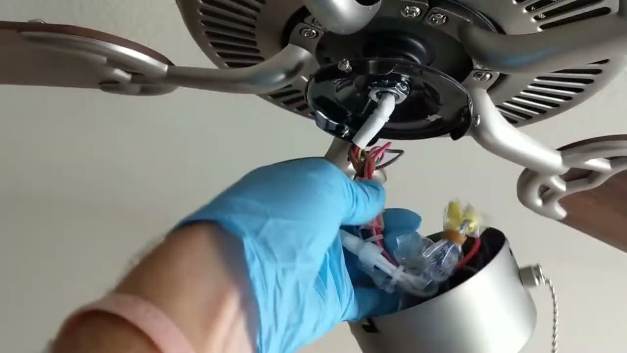 Step 3: Unplug the Wiring Harness