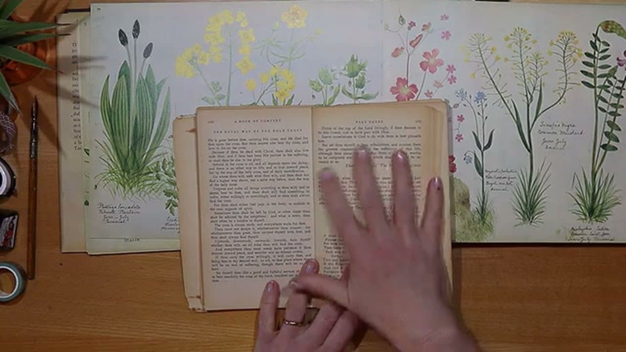 Step 1: Step 1: Gather Pages and Papers