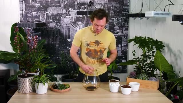 Step 1: Step 1: Add a Charcoal Base
