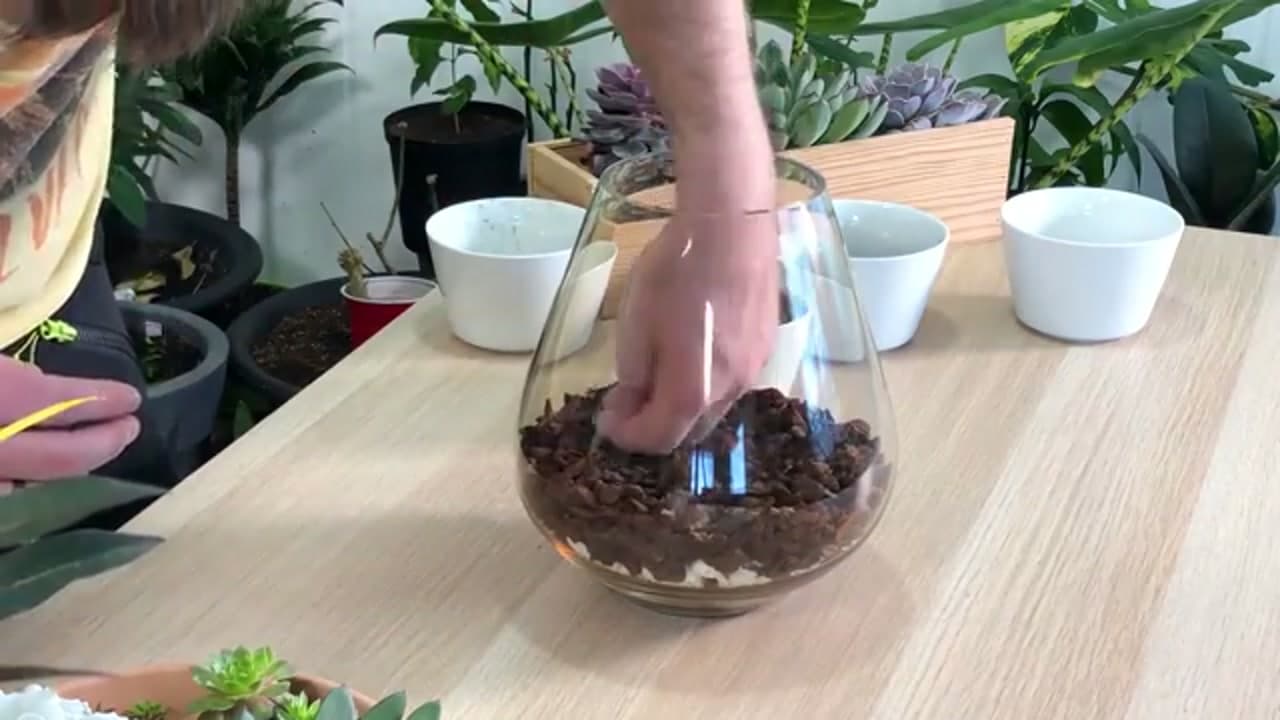 Step 3: Step 3: Add an Orchid Bark Layer