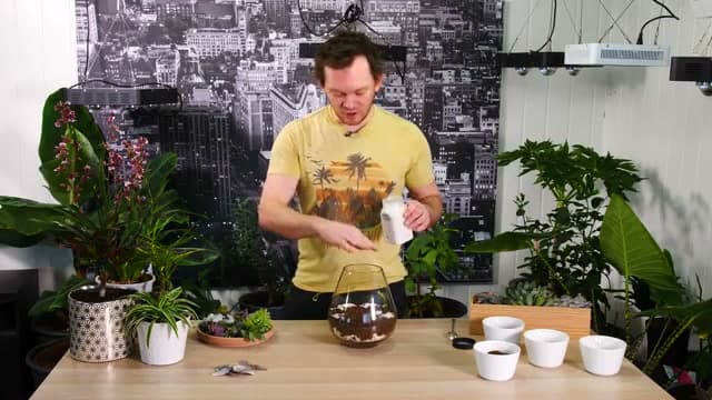 Step 4: Step 4: Spoon in the Succulent Soil