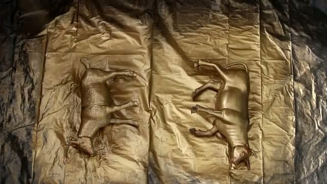 Step 1: Step 1: Spray the Animal Figures Gold