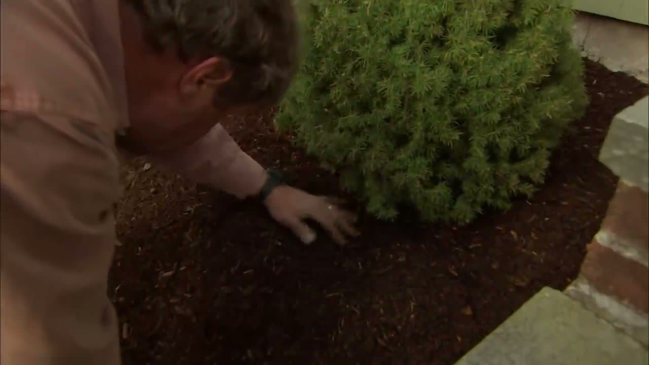 How to Mulch a Flower Bed