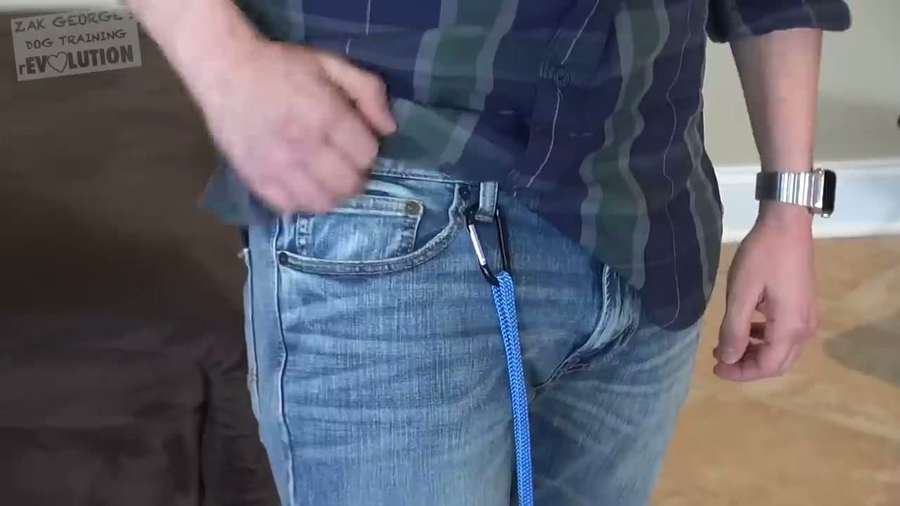 Step 2: Keep the Puppy Close With a Leash or Gates