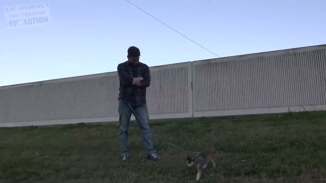 Step 4: Set the Potty Schedule