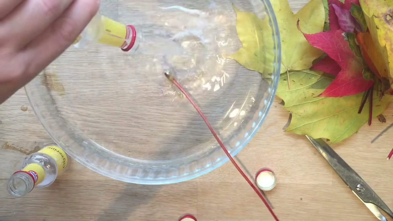 Step 3: Add Two Parts Water to One Part Glycerine - How to Preserve Fall Leaves