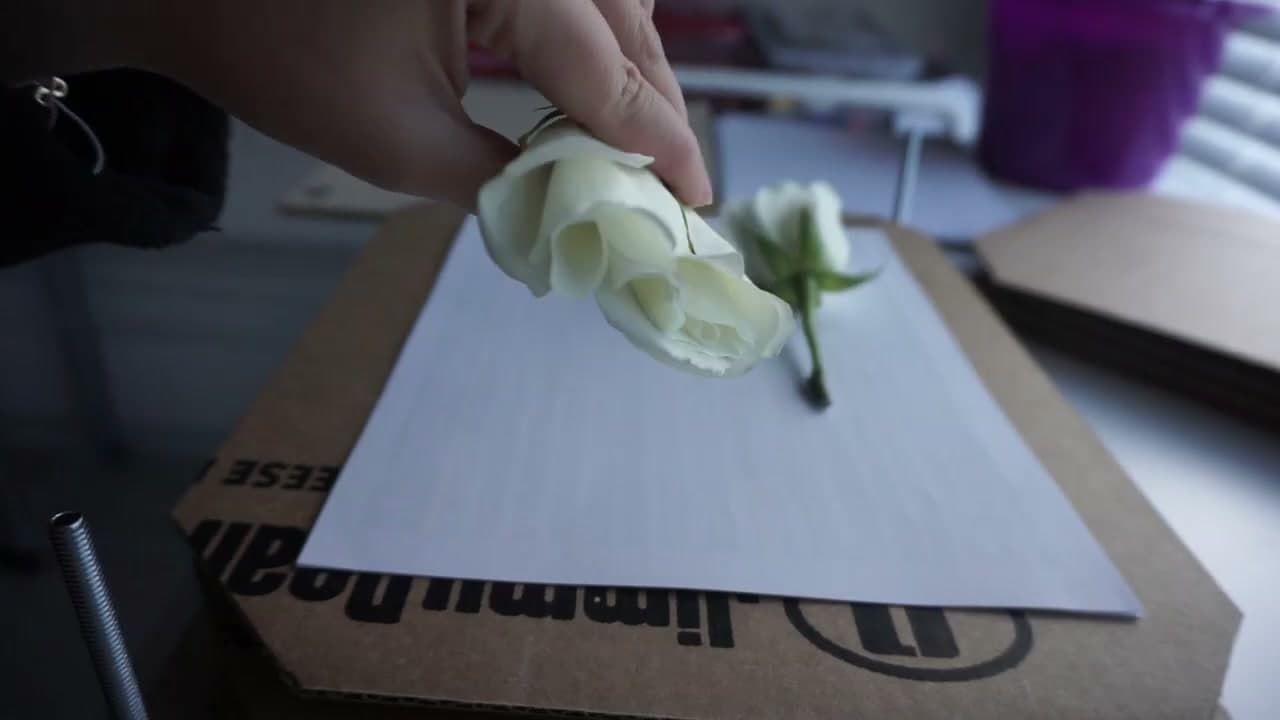 Step 3: Step 3: Press the Rose Flat in a Wood Press or Heavy Book