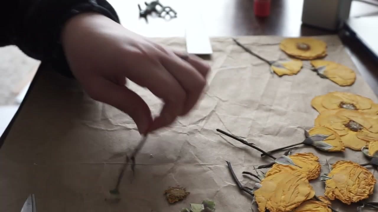Step 5: Step 5: Reassemble the Dried Petals with Liquid Glue