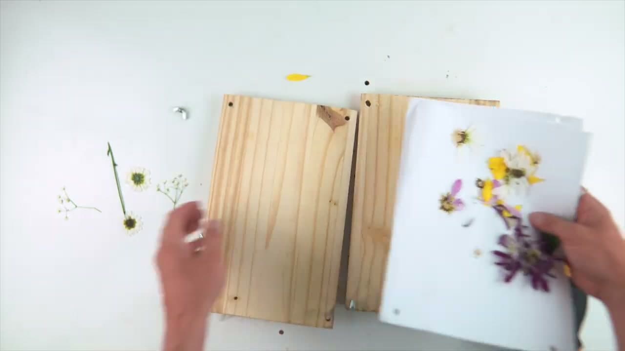 Step 7: Compare the Results (The Favorite Combo)