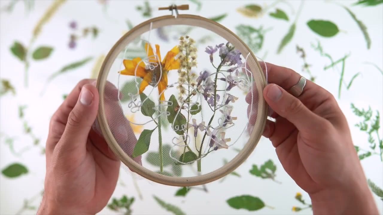 The finished result: How to Press Flowers (4 Methods: Microwave, Iron, Book, and Press)