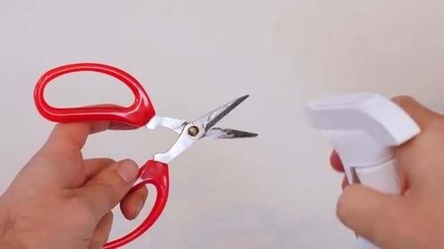 Step 2: Step 2: Clean Your Pruners First