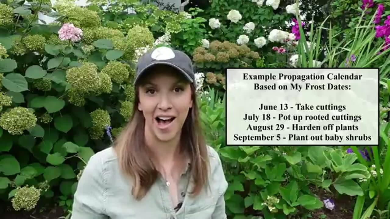 Step 1: Step 1: Take Cuttings at the Right Time