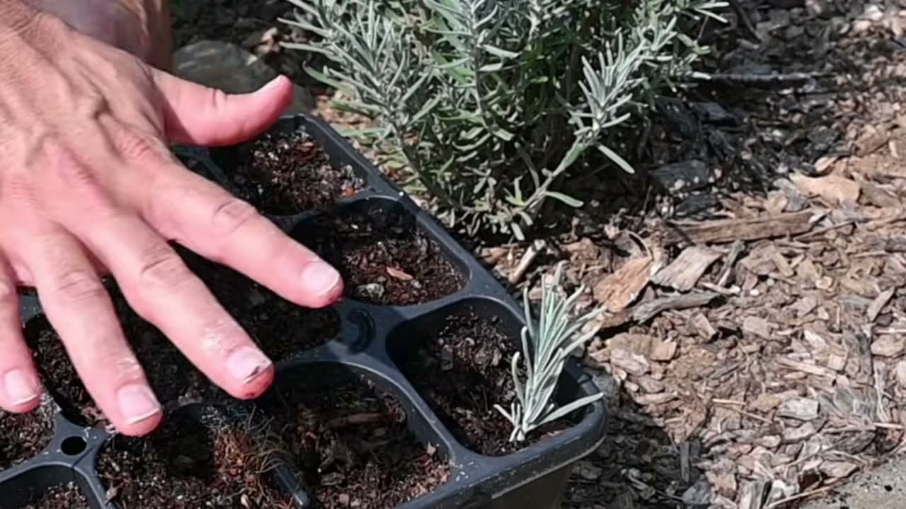 Step 6: Step 6: Insert and Tuck In the Cutting