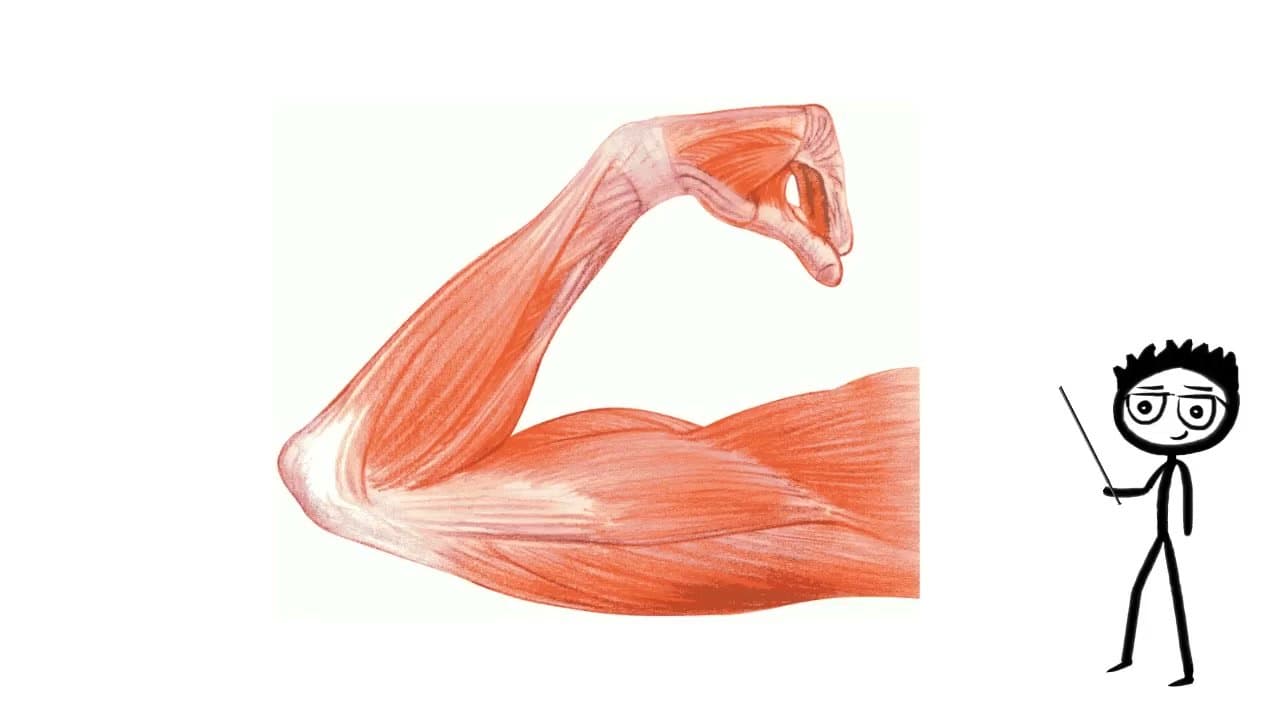 Step 6: Step 6: Check Protein Content