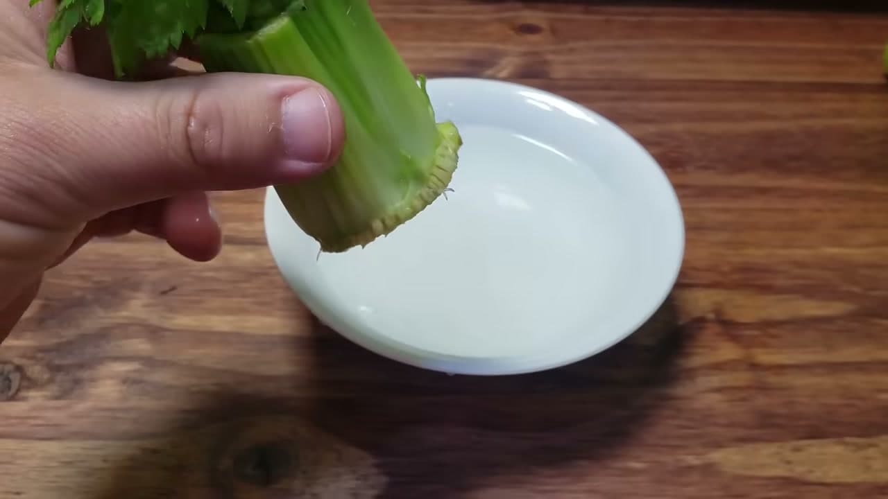 Step 4: Step 4: Change the Water Every Few Days