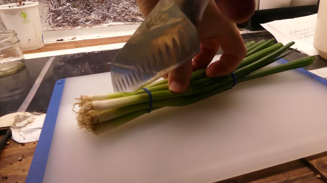 Step 1: Step 1: Cut the Root Ends Off Your Green Onions