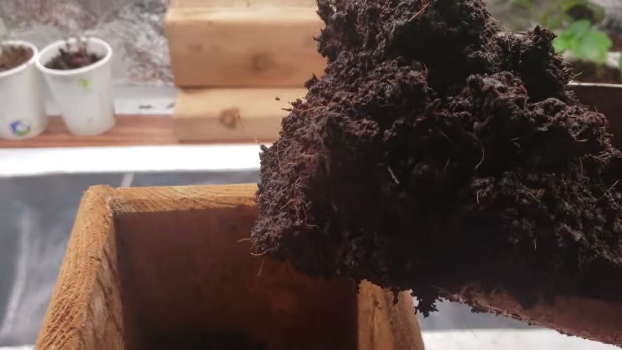 Step 5: Step 5: Fill a Pot with Potting Mix